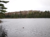 Sunshine Pond